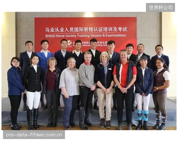 引入FEA模型设计的可释放托架后，德国马协报告青少年骑手严重坠马的骨折风险下降了22%